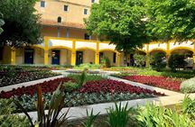 Half-Day Van Gogh Tour of Provence from Avignon