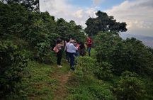 Medellin Coffee Tour