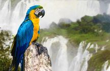 2 Day Argentinian and Brazilian Iguazu Falls