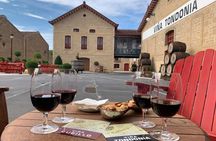 Rioja Alavesa Wineries and Medieval Villages Day Trip