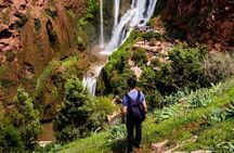 Ouzoud waterfalls private all Inclusive tour from Marrakech