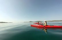 Kayaking to the island Prvić