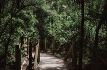 Rincon de la vieja Volcano Hike, Oropendola Waterfall, Hot Springs & Lunch Combo