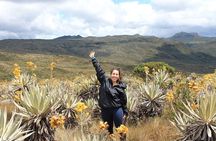 Private Hike • Chingaza Natural Park from Bogota • 10h