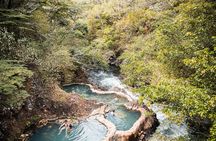 Rincon de la vieja Volcano Hike, Oropendola Waterfall, Hot Springs & Lunch Combo