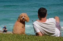 See Sydney With A Local: Private & Personalized