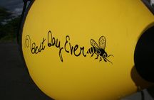 5 Hour Molokini Snorkel & Turtle Tour in Maui