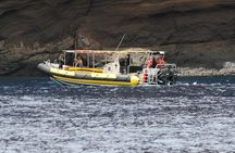 4 .5 Hour Molokini Snorkel Tour Adventure in Maui
