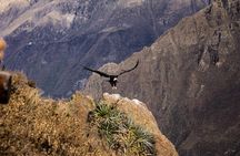 2 day 1 night trek / Colca Canyon