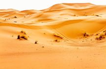  4 Days/ 3 N Marrakech To Fes Desert Tour