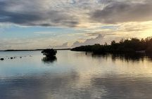 Key Largo Mangrove Private Eco-Tours