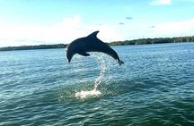 Key Largo Mangrove Private Eco-Tours