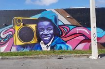 Private South Beach, Wynwood Arts District and Little Havana Tour