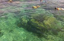 Coral Reef Private Snorkel tour out to John Pennekamp Coral Reef State Park 