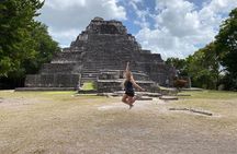 Ancient Chacchoben Mayan Ruins Tour from Costa Maya 