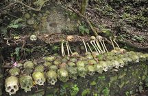 Trunyan Cemetery, Hot Spring, Penglipuran Village, and Waterfall Tour