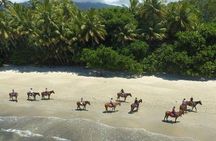 Afternoon Beach Horse Ride in Cape Tribulation