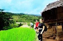 2-Day Karen Homestay – A Cultural Immersion