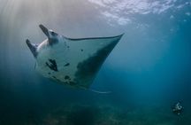 Bali Hai - Nusa Penida Adventure Cruise