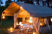 7 Days Mara/L.Naivasha/L.Nakuru/Amboseli