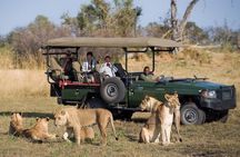 Helicopter,Falls tour and Chobe Day trip Combo