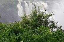 Helicopter,Falls tour and Chobe Day trip Combo