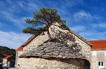 Private Day Trip TO Brač Island With Authentic lunch