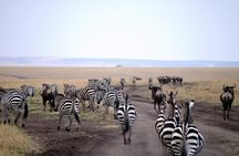 5 Days Mara, Nakuru, Sweetwaters
