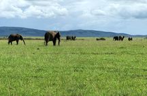 5 Days Mara, Nakuru, Sweetwaters