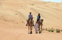 Red Dune Desert Safari with BBQ Dinner, Sand Boarding Dance Shows
