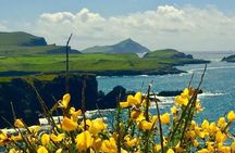Private Full Day Tour From Killarney - Ring of Kerry/Skellig