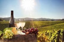 Tailor made Stellenbosch & Franschhoek Winelands Full day Tour.