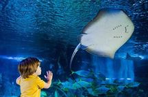 SEA LIFE Manchester Admission Ticket