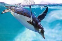 SEA LIFE Manchester Admission Ticket