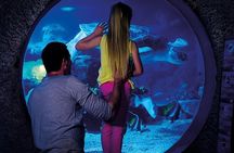 SEA LIFE Manchester Admission Ticket