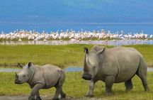 Lake Nakuru National Park - Day Trip (With Park Fees)