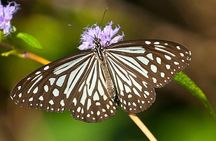 Bondla Wildlife Sanctuary with Lunch in Spice Plantation in Goa