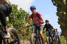 From Cape Town: Full Day Electric Bike Winelands Tour & Lunch 