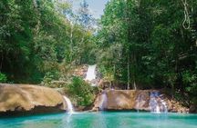 YS Falls and Floyds Pelican Bar Private Tour 