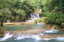 YS Falls and Floyds Pelican Bar Private Tour 