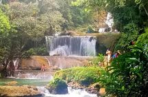 YS Falls and Floyds Pelican Bar Private Tour 