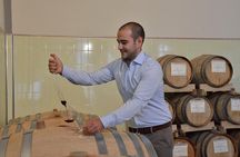 Wines, Cheeses & Bruschettas Tasting in Chianti (Tour at the Winery included)