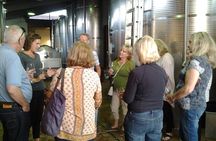 Wines, Cheeses & Bruschettas Tasting in Chianti (Tour at the Winery included)