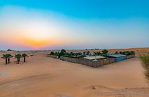 Guided Desert Quad Safari with Camelride, BBQ-Dinner and live-Shows