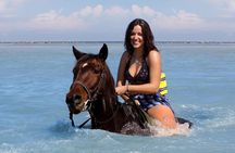 Horseback Riding/Zipline Combo Tour at Chukka Ocean Outpost with Transportation