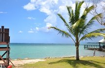 Horseback Riding/Zipline Combo Tour at Chukka Ocean Outpost with Transportation