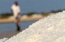 Private Day Trip To Pag Island and Nin Saltworks from Zadar