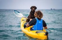 Santorini Sea Caves Kayak Trip with Snorkeling & Picnic
