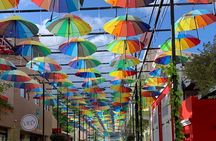 Puerto Plata Highlights and Resort Beach - Amber Cove & Taino Bay