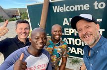 Addo Elephant National Park Day Tour from Port Elizabeth 